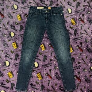 Pilcro and the Letterpress Indigo Skinny Jeans Size 27